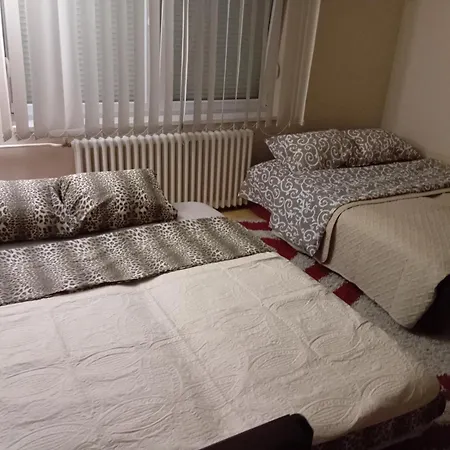 Apartment Veki